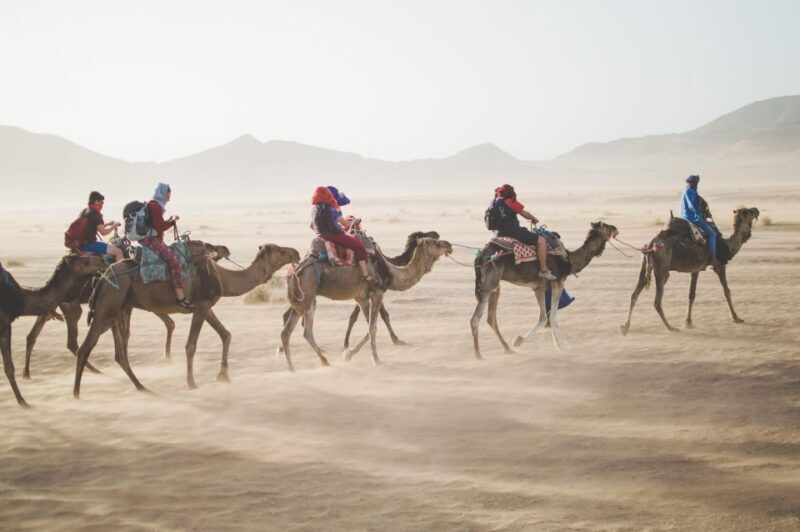 Merzouga: Overnight Stay in Luxury Desert Tent with Dinner - Key Points