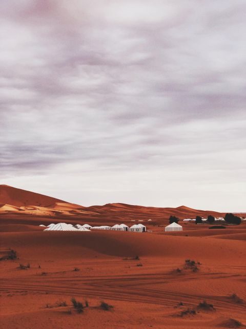Merzouga: Overnight Stay in Luxury Desert Tent with Dinner - An In-Depth Look at the Merzouga Desert Experience