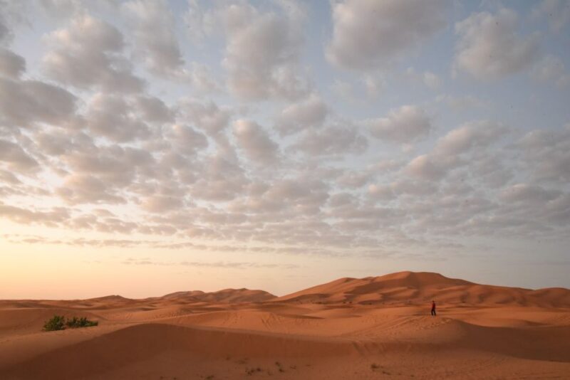Merzouga sightseeing tour that shouldn't be missed - Discovering the Sahara’s Hidden Treasures