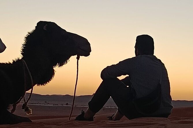 Merzouga Sunset Camel Ride - Why This Tour Works for Different Travelers