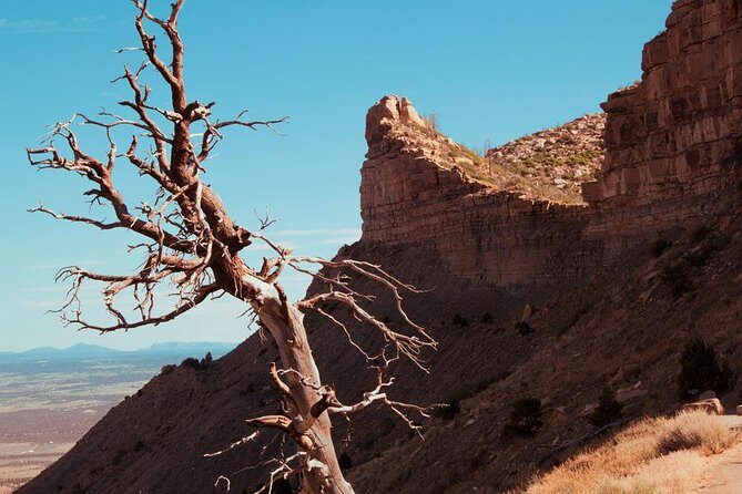 Mesa Verde Highlights Tour - An Overview of the Experience
