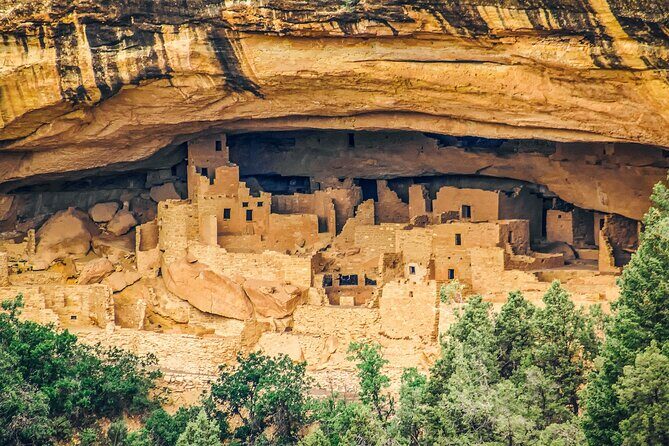 Mesa Verde National Park Half Day Tour - Key Points