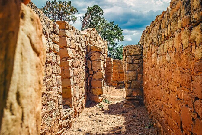 Mesa Verde National Park Half Day Tour - A Detailed Look at the Mesa Verde Half Day Tour