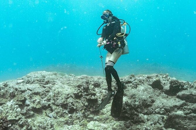 mesmerizing-private-scuba-diving-charter-in-paradise-from-waikiki