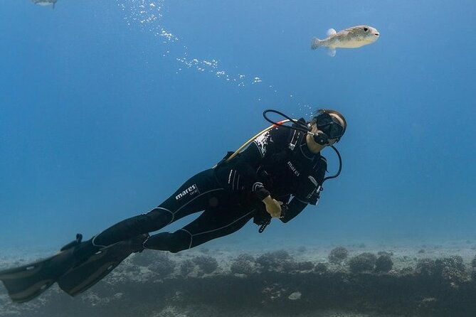 mesmerizing-private-scuba-diving-charter-in-paradise-from-waikiki