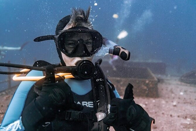 mesmerizing-private-scuba-diving-charter-in-paradise-from-waikiki