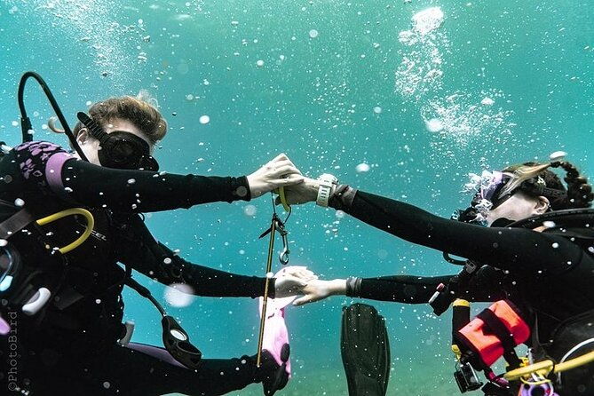 mesmerizing-private-scuba-diving-charter-in-paradise-from-waikiki