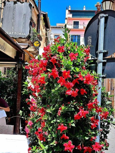 messina-savoca-taormina-and-castelmola