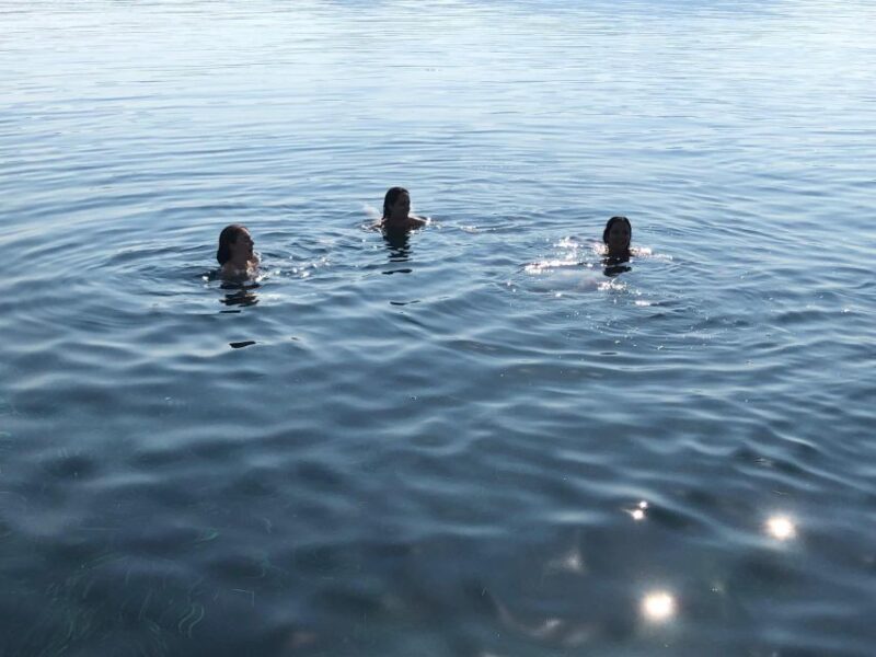 Messinia, Greece: Boat ride tour in Navarino Bay & Lunch - Key Points