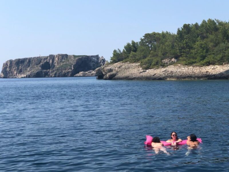 Messinia, Greece: Boat ride tour in Navarino Bay & Lunch - What Travelers Say