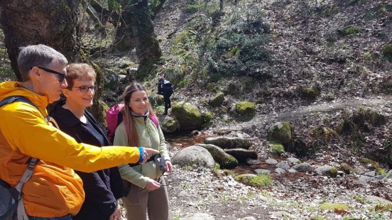 meteora-easy-hiking-adventure