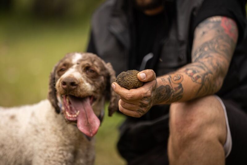 Meteora Truffle Hunting Experience with Lunch & Museum Visit - Key Points
