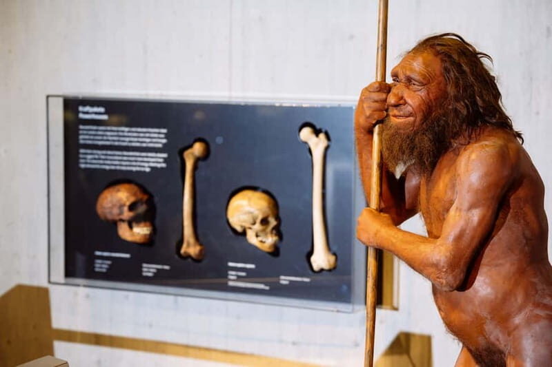 Mettmann: Neanderthal Museum Admission Ticket - Authentic Visitor Perspectives