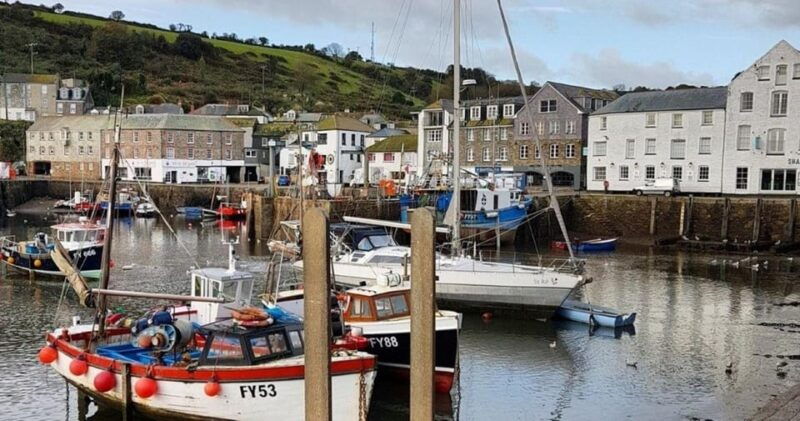 mevagissey-coast-and-country-guided-walk