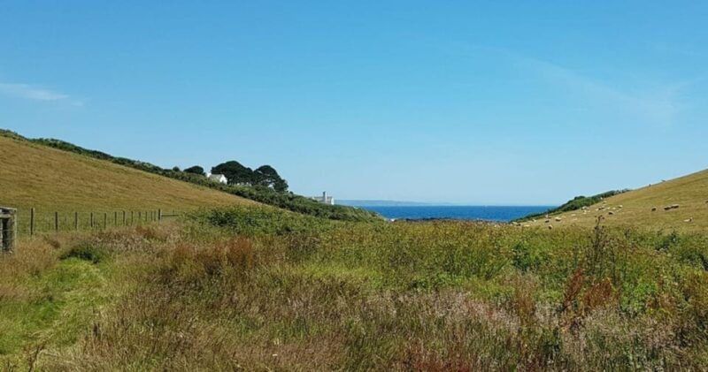 mevagissey-coast-and-country-guided-walk