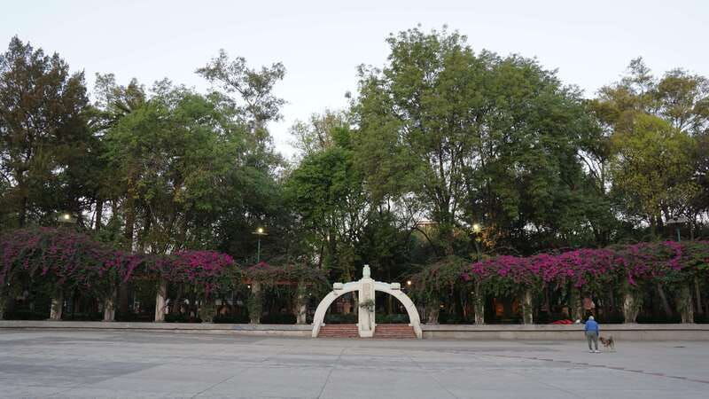 mexico-city-19-city-highlights-bicycle-tour