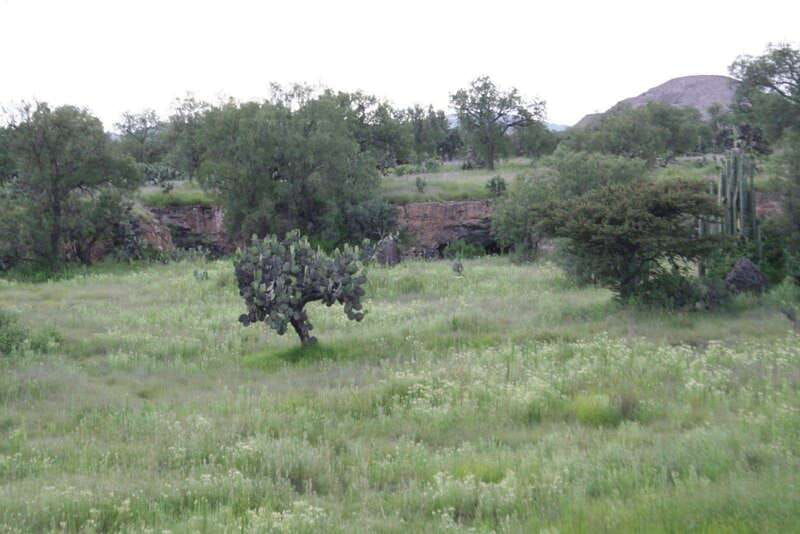 mexico-city-basilica-and-teotihuacan-pyramids-tour