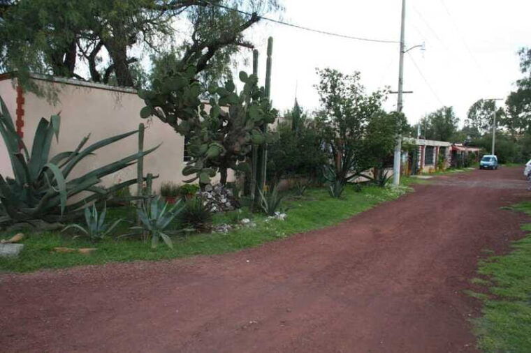 mexico-city-basilica-and-teotihuacan-pyramids-tour