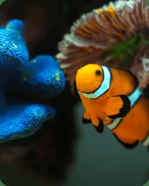 mexico-city-fast-pass-ticket-to-acuarium-inbursa