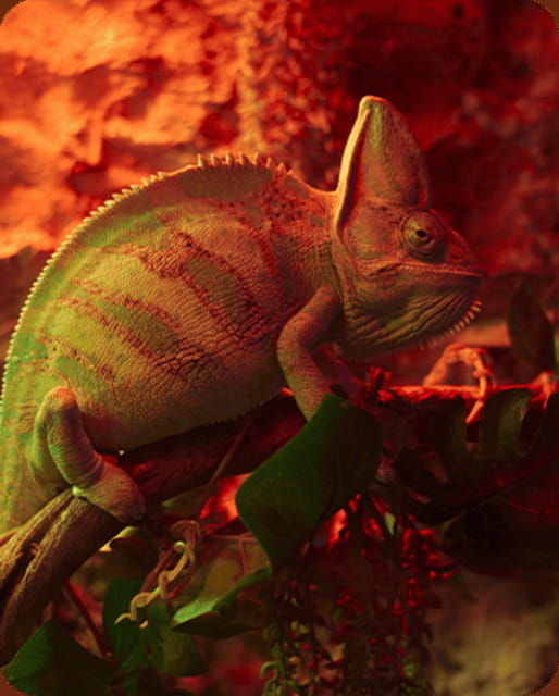 mexico-city-fast-pass-ticket-to-acuarium-inbursa
