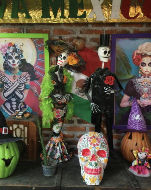 mexico-city-frida-kahlo-coyoacan-and-xochimilco-day-tour