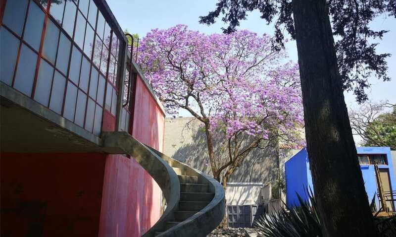 mexico-city-frida-kahlo-diego-rivera-studio-house-tour