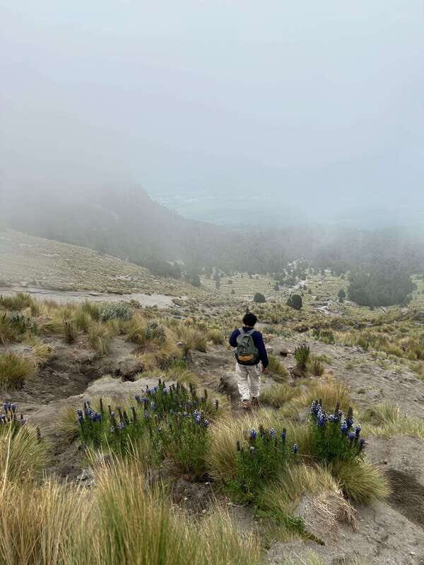 Mexico City: Hiking to la Malinche private day tour - The Logistics and What’s Included