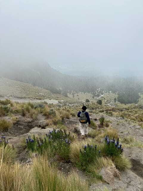 Mexico City: Hiking to la Malinche private day tour - FAQ