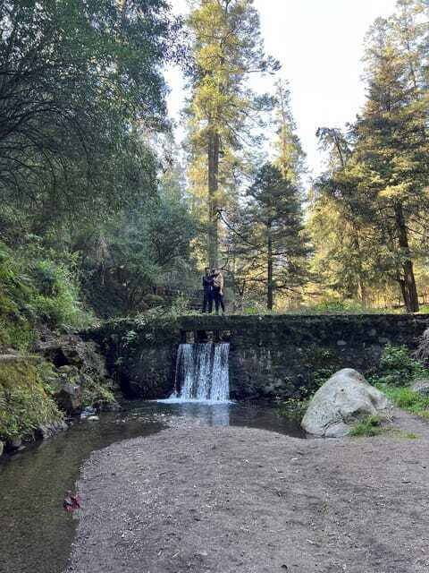 Mexico city: Hiking tour to Desierto de los leones - Frequently Asked Questions
