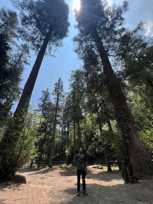 Mexico city: Hiking tour to Desierto de los leones - Final Thoughts