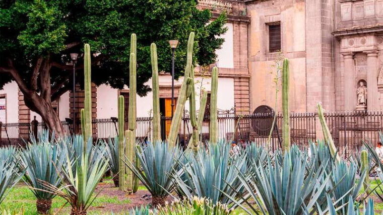 mexico-city-historic-downtown-walking-tour