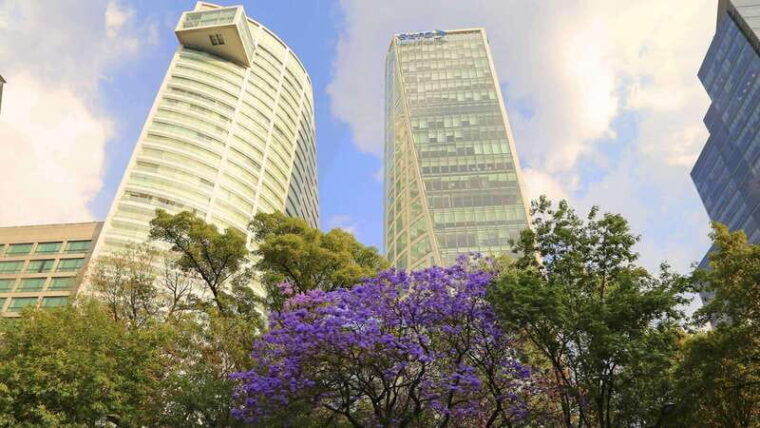 mexico-city-hop-on-hop-off-city-tour-with-attractions