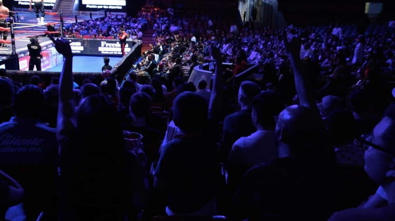 Mexico City: Lucha Libre Show and Street Tacos - Final Thoughts