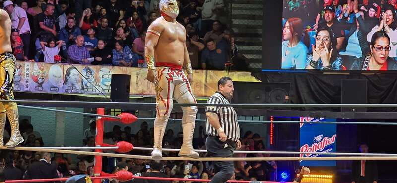 mexico-city-lucha-libre-show-with-hotel-pickup
