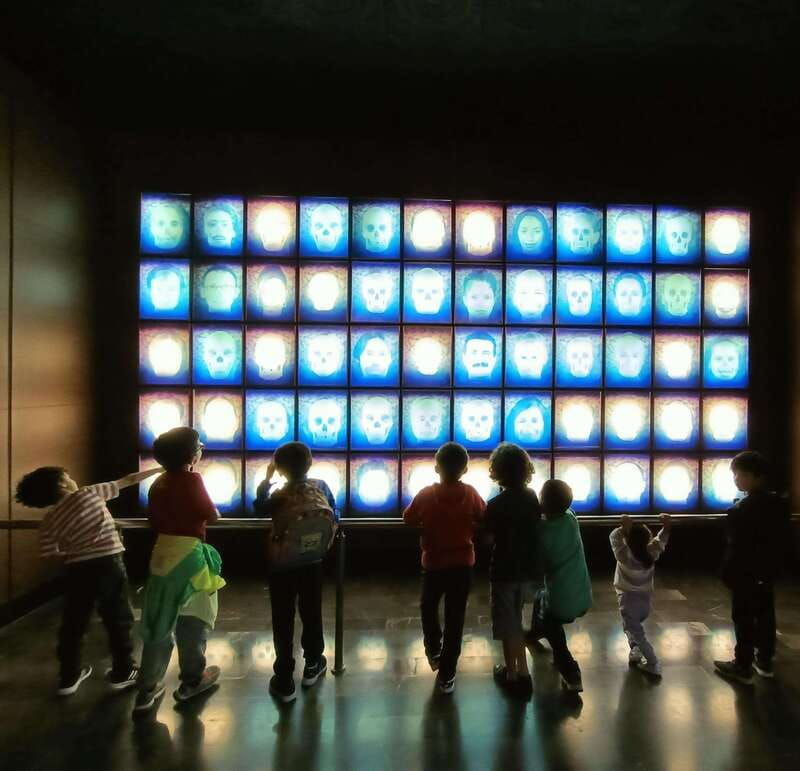 mexico-city-national-museum-of-anthropology-guided-tour