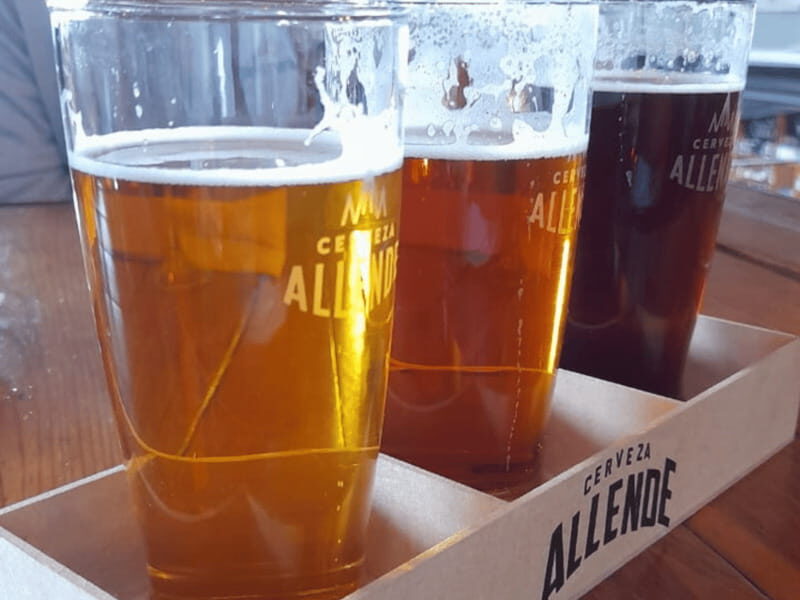 Mexico City: San Ángel Magical Mexican Food Tour - FAQ