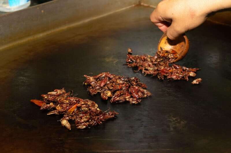 Mexico City: Street Food, Mole & Mezcal Small Group Tour - Enriching the Experience: Authenticity and Personal Touches