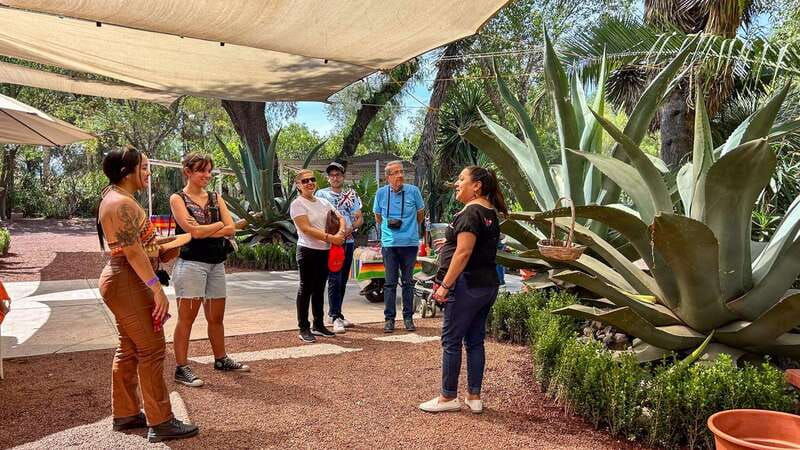 mexico-city-teotihuacan-tlatelolco-basilica-of-guadalupe