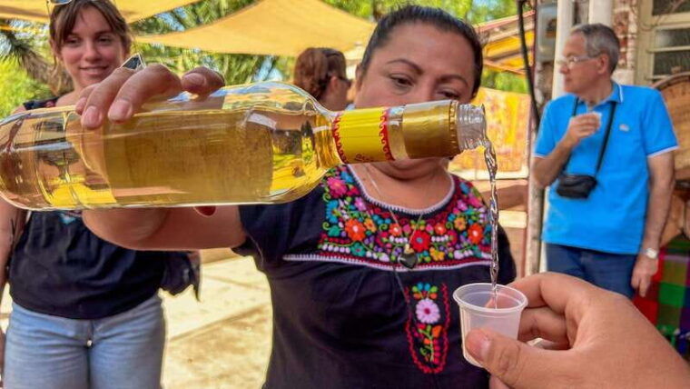 mexico-city-teotihuacan-tlatelolco-guadalupe-shrine-tour