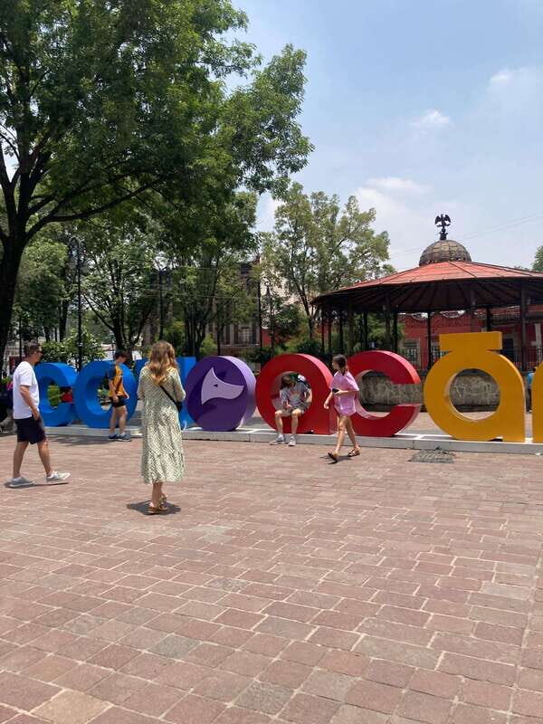 Mexico: Coyoacan & Xochimilco:VW bus, Boat & Brunch - Family - Final Thoughts: Is This Experience Worth It?