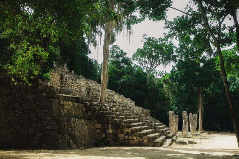 Mexico: Discover Ancient Mayan City of Calakmul, Guided Tour - What to Expect from the Calakmul Guided Tour