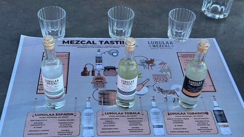 Mezcal Experiencia tasting Tradition of Oaxaca - Why This Experience Works
