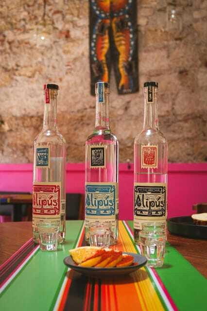 Mezcal Mexico City: Cultural Sips, Snacks and Mariachi - The Sum Up