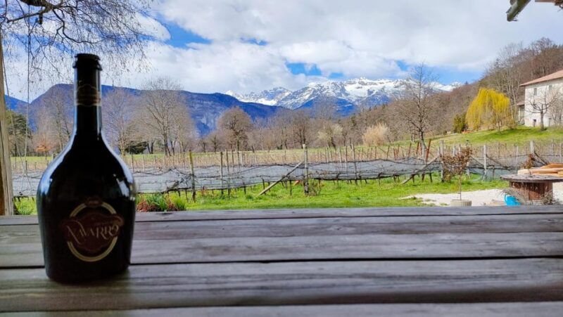 mezzocorona-scenic-vineyard-visit-on-mount-tasting-3-wines