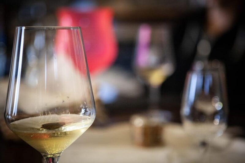 mezzocorona-scenic-vineyard-visit-on-mount-tasting-3-wines