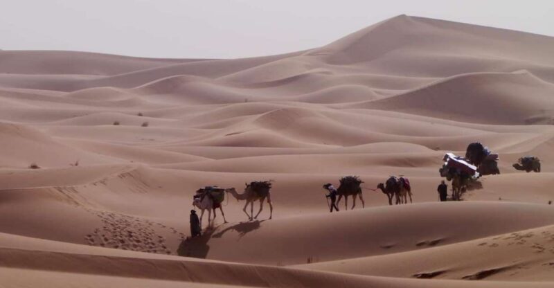 Mhamid: Experience the Route of old Caravans in the Sahara - Key Points