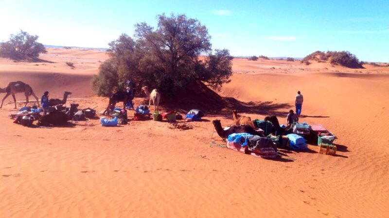 Mhamid: Experience the Route of old Caravans in the Sahara - The Itinerary Breakdown