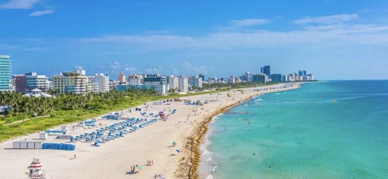 Miami 50-Minute Airplane Tour: Beaches, Islands & Downtown - Wildlife and Natural Wonders