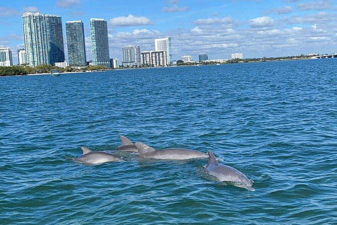 miami-aqua-excursion-flyboard-tubing-boat-tour