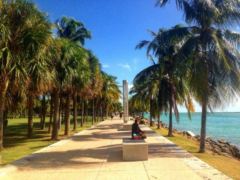 miami-beach-1-hour-segway-glide